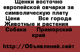 Щенки восточно европейской овчарки за символическую плату › Цена ­ 250 - Все города Животные и растения » Собаки   . Приморский край